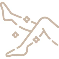 Профессионализм